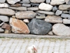 dsc_1762 dsc_1762