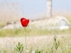 dsc_2222 dsc_2222
