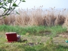 dsc_2235 dsc_2235