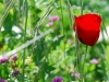 dsc_3187 dsc_3187