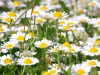 dsc_3190 dsc_3190