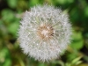 dsc_3318 dsc_3318