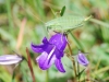dsc_6058 dsc_6058